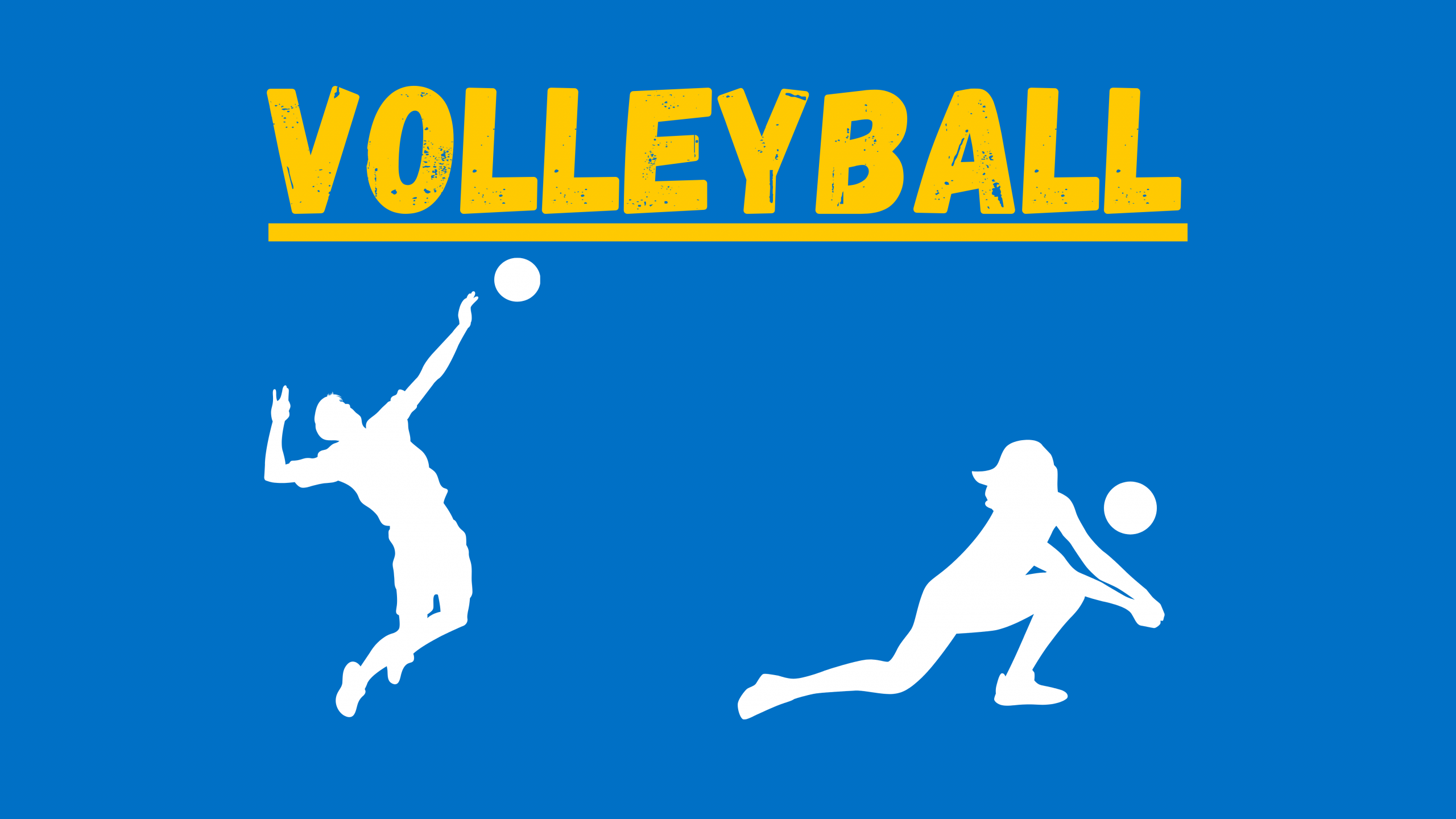 Volleyball: Titelbild